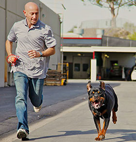 rottweiler rescue of los angeles rottweiler rescue of los angeles rottweiler rescue of los angeles rottweiler rescue of los angeles